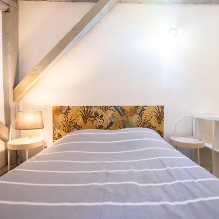 公寓 Duplex Scandinave A Cosy Et Calme - Part-dieu