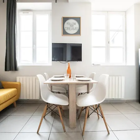 公寓 Duplex Scandinave A Cosy Et Calme - Part-dieu